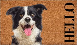 Calloway Mills Black & White Border Collie Outdoor Doormat, 24 x 36-in