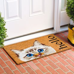 Calloway Mills Lila Point Seal Outdoor Doormat, 24 x 36-in slide 2 of 4