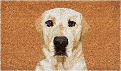 Calloway Mills Cream Labrador Outdoor Doormat, 24 x 36-in