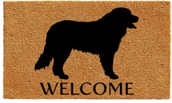 Calloway Mills Bernese Mountain Outdoor Doormat, 17 x 29-in
