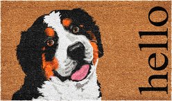 Calloway Mills Burmese Mountain Dog Outdoor Doormat, 24 x 36-in