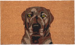 Calloway Mills Brown Labrador Outdoor Doormat, 24 x 36-in slide 1 of 6