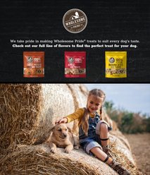 Wholesome Pride Pet Treats Sweet Potato Bites 100% All-Natural Single Ingredient Dog Treats, 8-oz bag slide 2 of 9