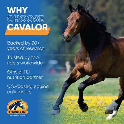 Show full view: Cavalor Crunchies Molasses Free Horse Treats, 3.30-lb bag slide 3 of 4