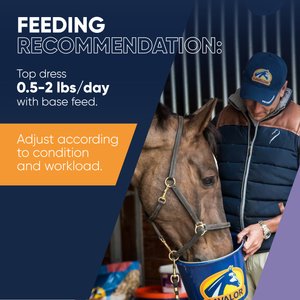 Cavalor Wholegain Horse Feed, 44-lb bag