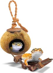 SunGrow Coconut Shell Gecko Hideout & Hanging Hut with Ladder Perch Reptile Climbing Cave for Crested Gecko, Anole & Small Lizards Terrarium