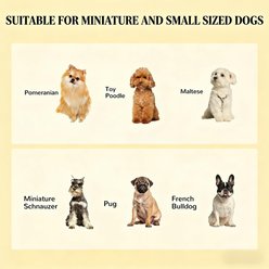 Zeus & Ruta Food Storage Wooden Dog Bowl Stand, White, Medium slide 2 of 6