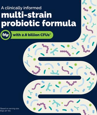 Show full view: Vetnique Labs Glandex Daily Probiotics & Digestive Health Prebiotics Bacon Flavor Soft Chew Aid Supplement for Dogs, 30 count slide 5 of 10