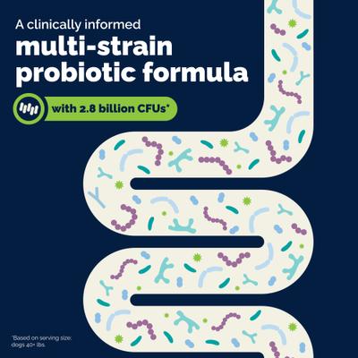Show full view: Vetnique Labs Glandex Daily Probiotics & Digestive Health Prebiotics Bacon Flavor Soft Chew Aid Supplement for Dogs, 30 count slide 5 of 10