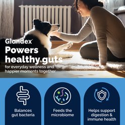 Vetnique Labs Glandex Daily Probiotics & Digestive Health Prebiotics Bacon Flavor Soft Chew Aid Supplement for Dogs, 60 count slide 2 of 9