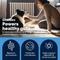 Show in main carousel: Vetnique Labs Glandex Daily Probiotics & Digestive Health Prebiotics Bacon Flavor Soft Chew Aid Supplement for Dogs, 30 count slide 4 of 10