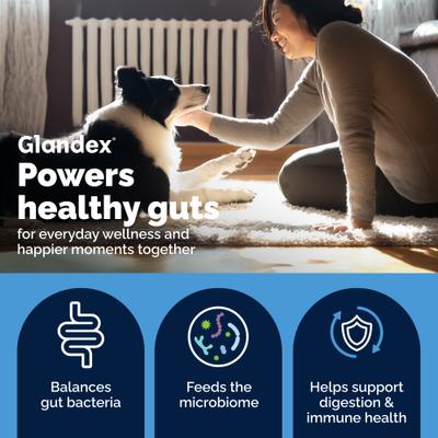 Show full view: Vetnique Labs Glandex Daily Probiotics & Digestive Health Prebiotics Bacon Flavor Soft Chew Aid Supplement for Dogs, 30 count slide 4 of 10