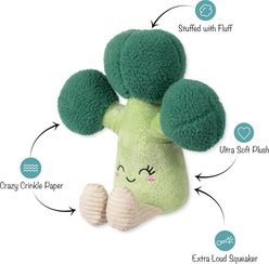 Fringe Studio Brocc Star Plush Dog Toy, Multicolor, 9.25 x 9.5 x 6-in slide 2 of 2