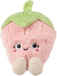 Fringe Studio Youre My Jam Plush Dog Toy, Multicolor, 9 x 6.5 x 5-in