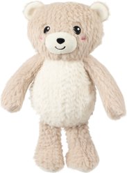 Fringe Studio Ready Teddy Go Plush Dog Toy, Multicolor, 12 x .5 x 4.5-in