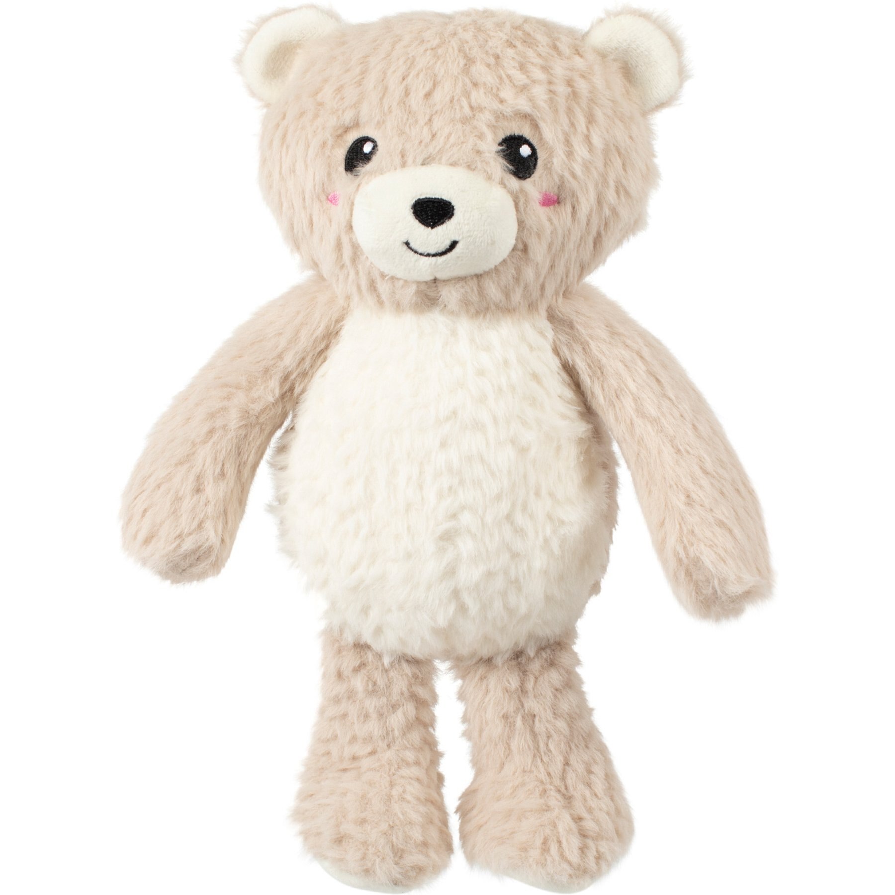 Fringe Studio Ready Teddy Go Plush Dog Toy, Multicolor, 12 x .5 x 4.5-in