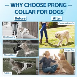 PatiencET Stainless Steel Prong No Pull Pinch Training Dog Collar, Black, Large slide 2 of 7