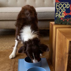 Houndstone Dishwasher Safe Silicone Dog Placemat, Blue Skies slide 2 of 8