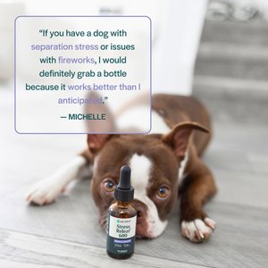 Pet Releaf Stress Releaf Organic Full Spectrum Hemp Extract Oil & Ashwagandha Liquid Calming Health Supplement for Small Dogs & Cats, 1-fl oz bottle