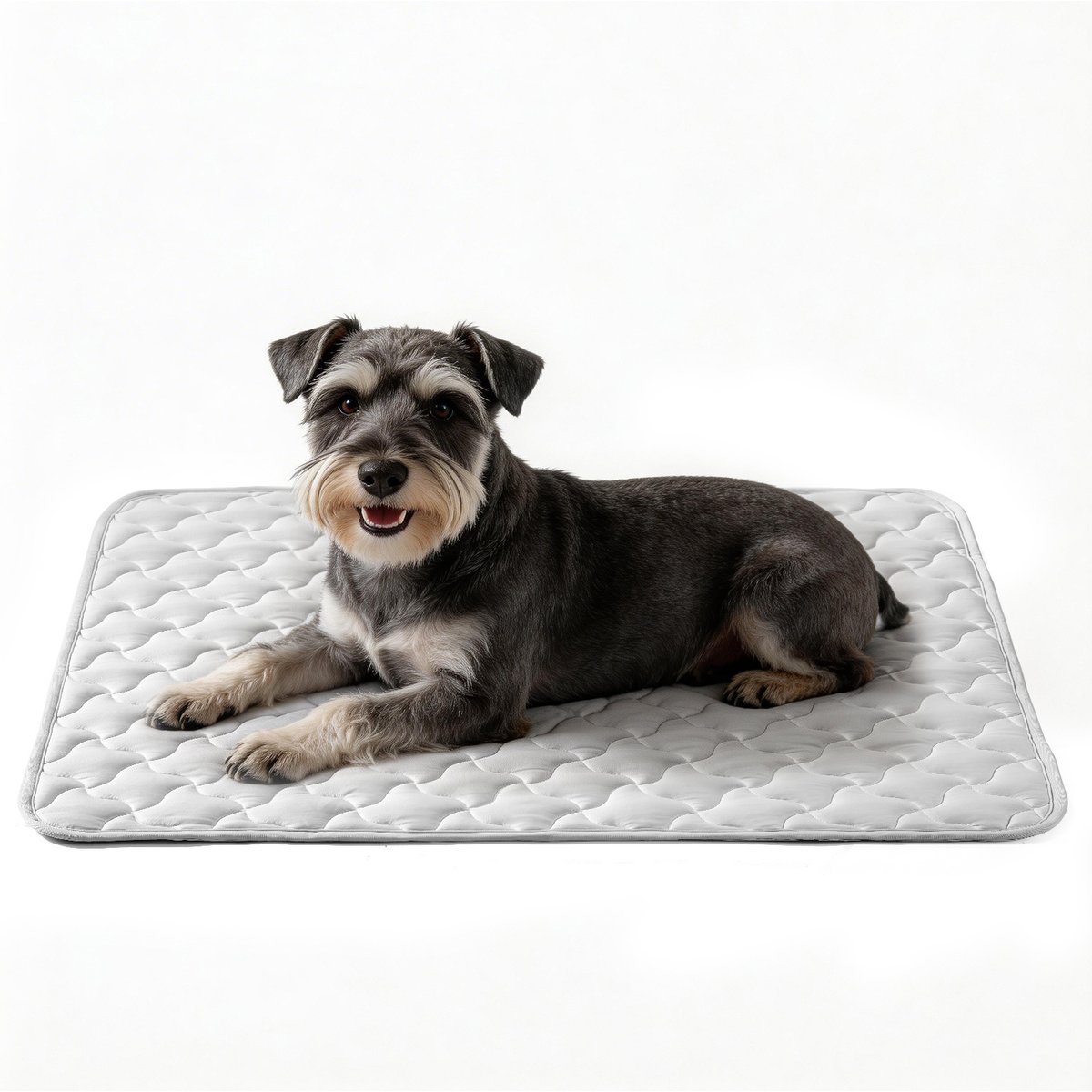 AIPERRO Cool Pet Pad Cooling Bolster Dog Crate Mat, Grey, Large