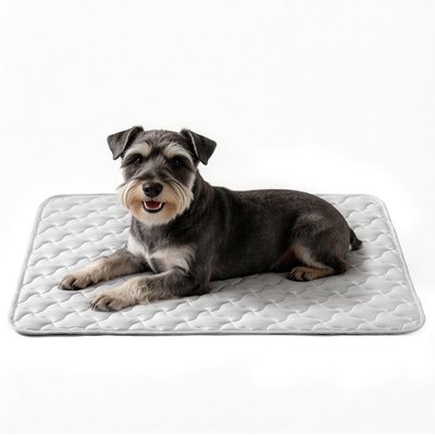 AIPERRO AIPERRO Cool Pet Pad Cooling Bolster Dog Crate Mat, Grey, Large