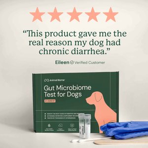 AnimalBiome Gut Microbiome Test for Dogs