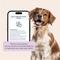 Show in main carousel: AnimalBiome Gut Microbiome Test for Dogs slide 7 of 10