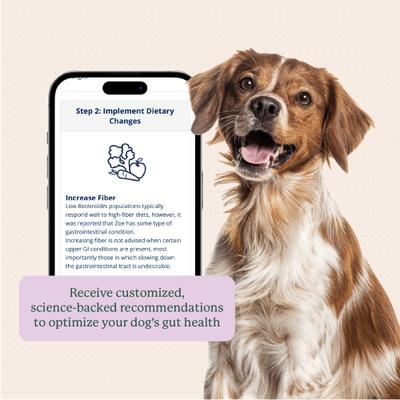Show full view: AnimalBiome Gut Microbiome Test for Dogs slide 7 of 10