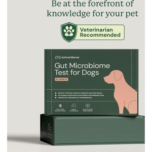 AnimalBiome Gut Microbiome Test for Dogs