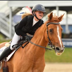 Millbrook Freedom Horse Bridle, Brown, Pony slide 2 of 4