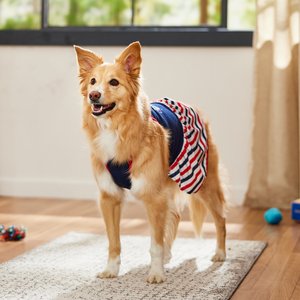 Frisco American Cutie Dog & Cat Sundress, Navy, Large