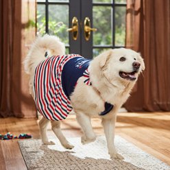 Frisco American Cutie Dog & Cat Sundress, Navy, XX-Large slide 2 of 7