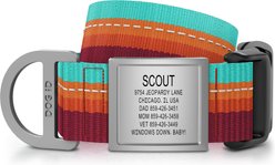 DOG iD Premium Nylon Dog Collar with Personalized Jingle-Free Stainless Steel ID Tag, Autumn Campfire, X-Large