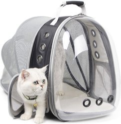 WEVONIGU Back Expandable Bubble Backpack Ventilated Transparent Foldable Dog & Cat Carrier, Black, Large slide 1 of 7