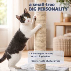 TRIXIE Parla 24.4-in Jute Cat Scratching Post, Platinum Gray