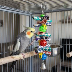A&E Cage Company Hanging Finger Trap & Balls Foraging Bird Toy, Multicolor slide 2 of 4