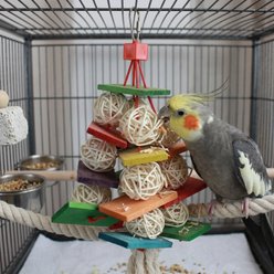 A&E Cage Company Wicker Cluster Foraging Parakeet, Cockatiel Bird Toy, Multicolor slide 2 of 4