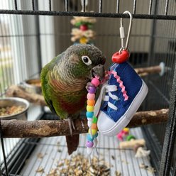 A&E Cage Company Sneakers Foraging Bird Toy, Multicolor slide 2 of 4