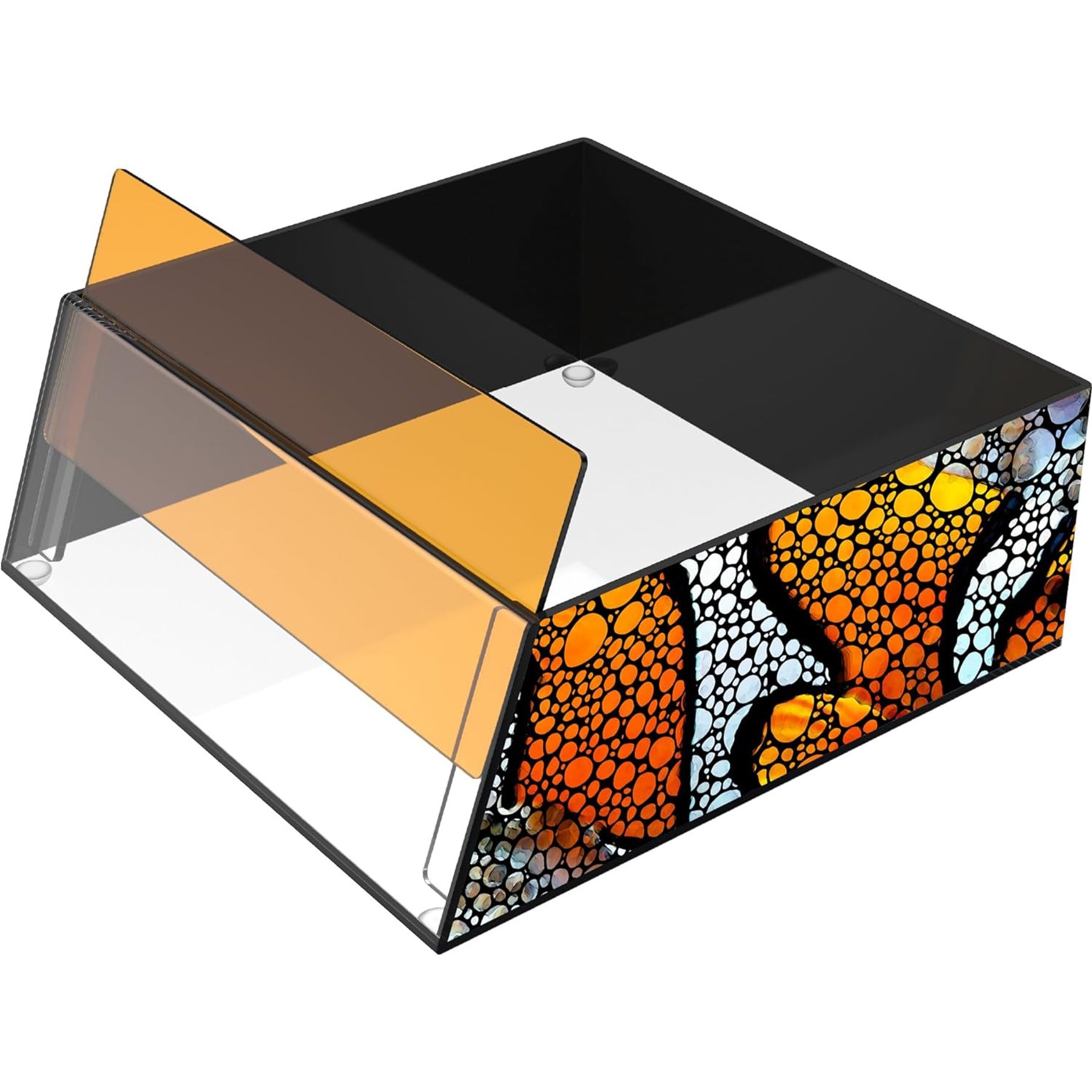 Flipper Top Down Clownfish Art Aquarium Viewer with Removable Orange Filter