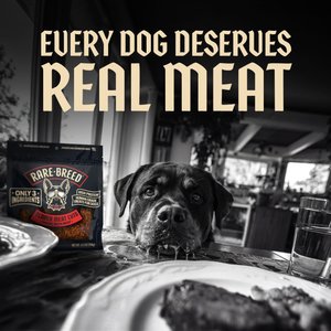 Rare Breed Tender Meat Cuts Grain-Free Beef Soft & Chewy Dog Treats, 4.5-oz