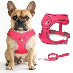 BARKBAY No Pull Reflective Dog Harness & Leash, Pink, Small: 13.5 to 16.5-in chest
