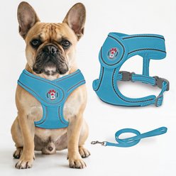 BARKBAY No Pull Reflective Dog Harness & Leash, Blue, Medium: 16.5 to 19-in chest