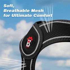 BARKBAY No Pull Reflective Dog Harness & Leash, Black, Large: 19 to 24.5-in chest slide 2 of 9