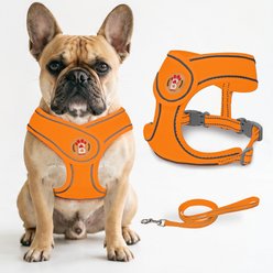 BARKBAY No Pull Reflective Dog Harness & Leash, Orange, Medium: 16.5 to 19-in chest