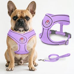 BARKBAY No Pull Reflective Dog Harness & Leash, Violet Purple, Small: 13.5 to 16.5-in chest slide 1 of 9