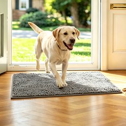 HOMAGICO Highly Absorbent Chenille Dog Door Mat, Grey, 24 x 35-in