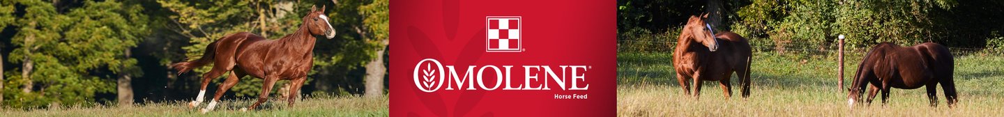 Omolene Horse Feed