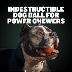Bully Max Tough Chewer Balls Dog Toy, Orange slide 2 of 9