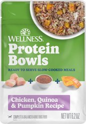 Wellness Protein Bowls Adult Wholesome Grains Chicken, Quinoa & Pumpkin Fresh Alternative Dog Food, 6.2-oz pouch