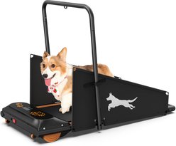 DVPETS Exercise Treadmill Dog Toy, Black & Orange slide 1 of 9